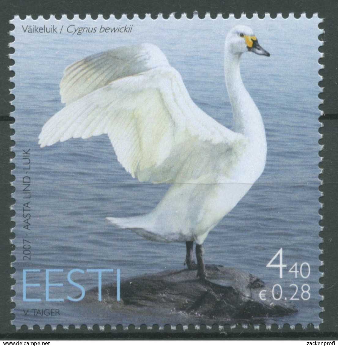 Estland 2007 Tiere Vogel Des Jahres Der Schwan 580 Postfrisch - Estonie