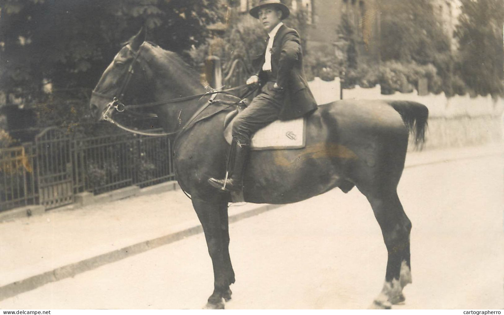 Annonymous Persons Souvenir Photo Social History Portraits & Scenes Elegant Man On Horse - Fotografie