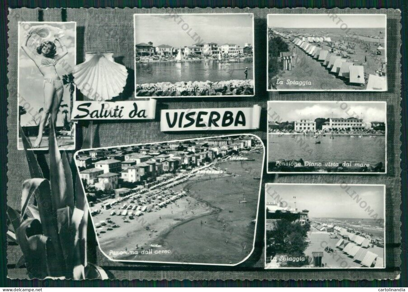 Rimini Viserba Saluti Da Pin Up Foto FG Cartolina KB0951 - Rimini