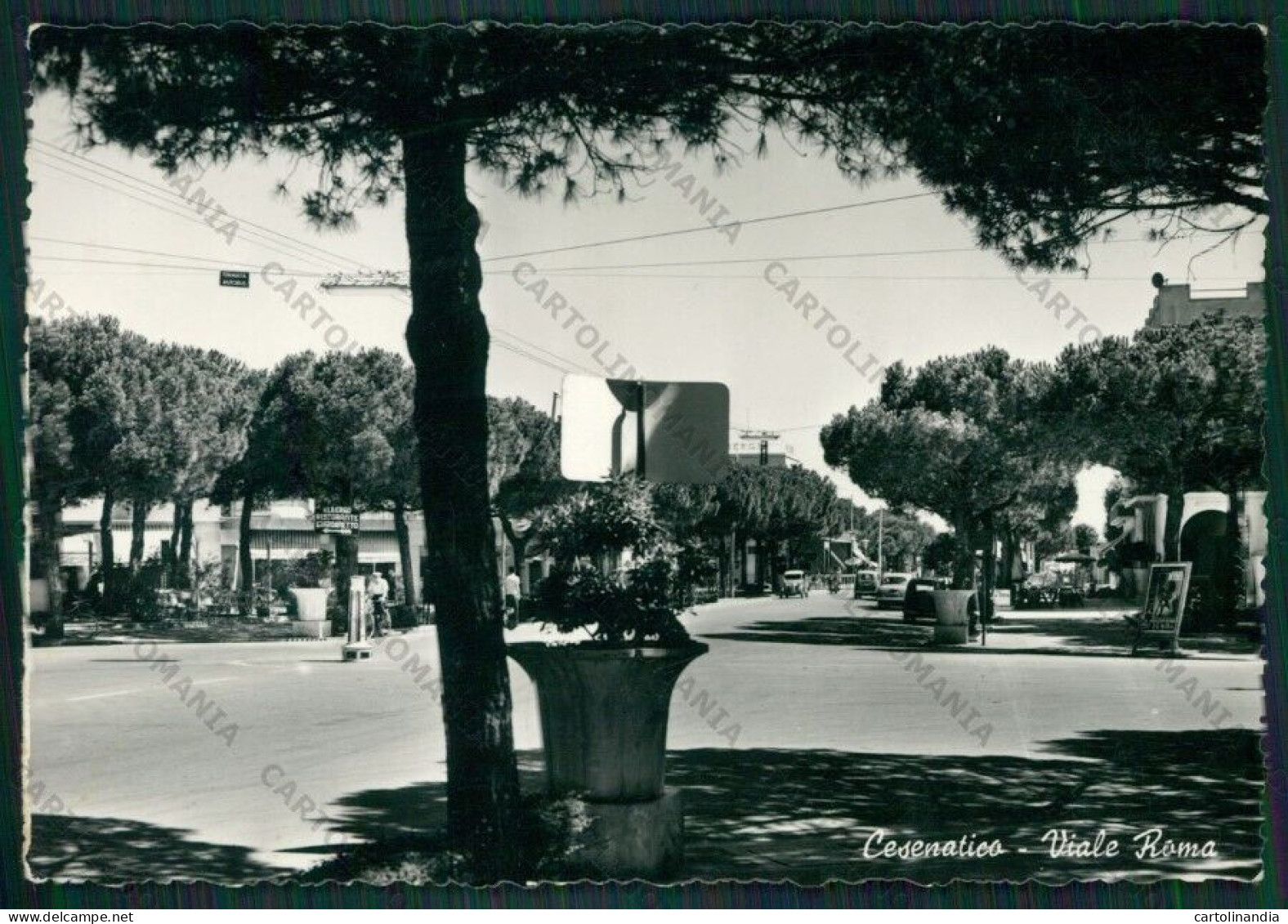 Forlì Cesenatico Foto FG Cartolina KB1040 - Forlì