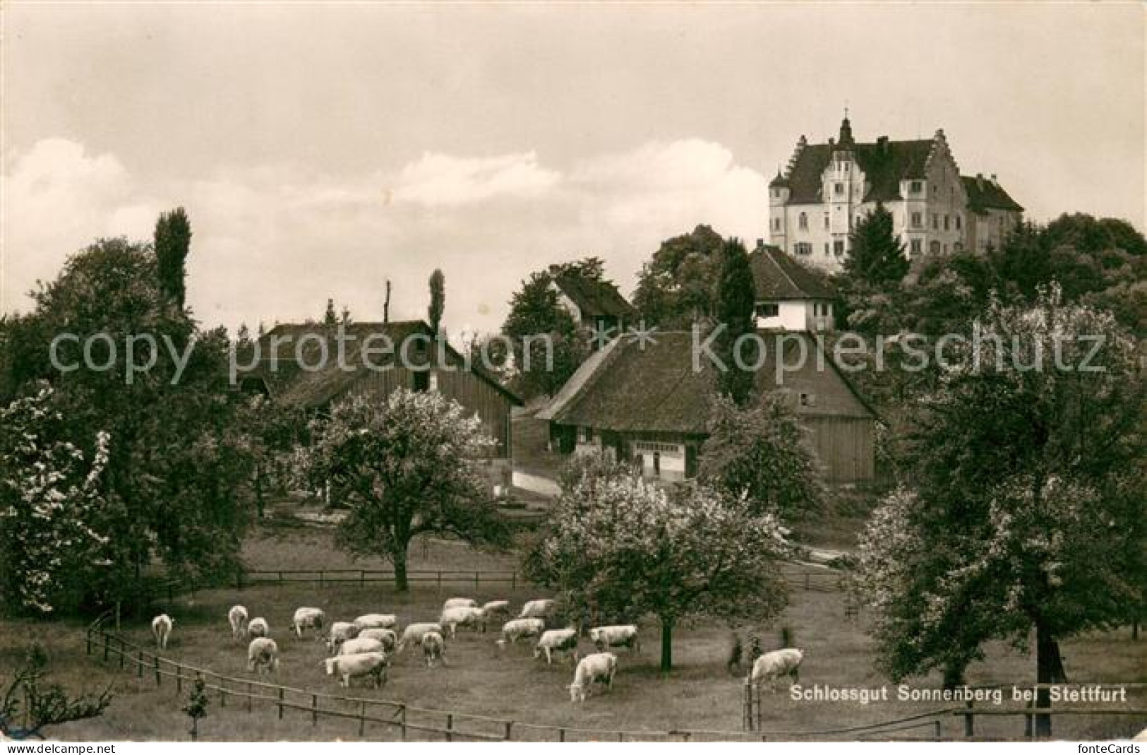 13769878 Stettfurt Schlossgut Sonnenberg  Stettfurt - Sonstige & Ohne Zuordnung