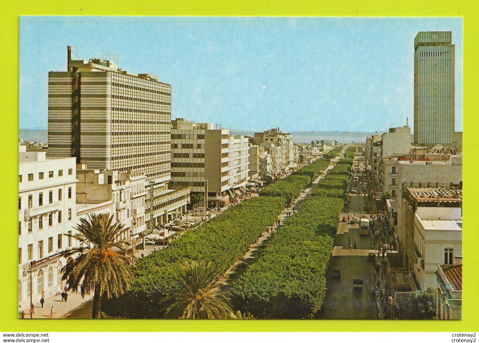 TUNIS Avenue BOURGUIBA Carthage Tour VOIR DOS - Tunisia
