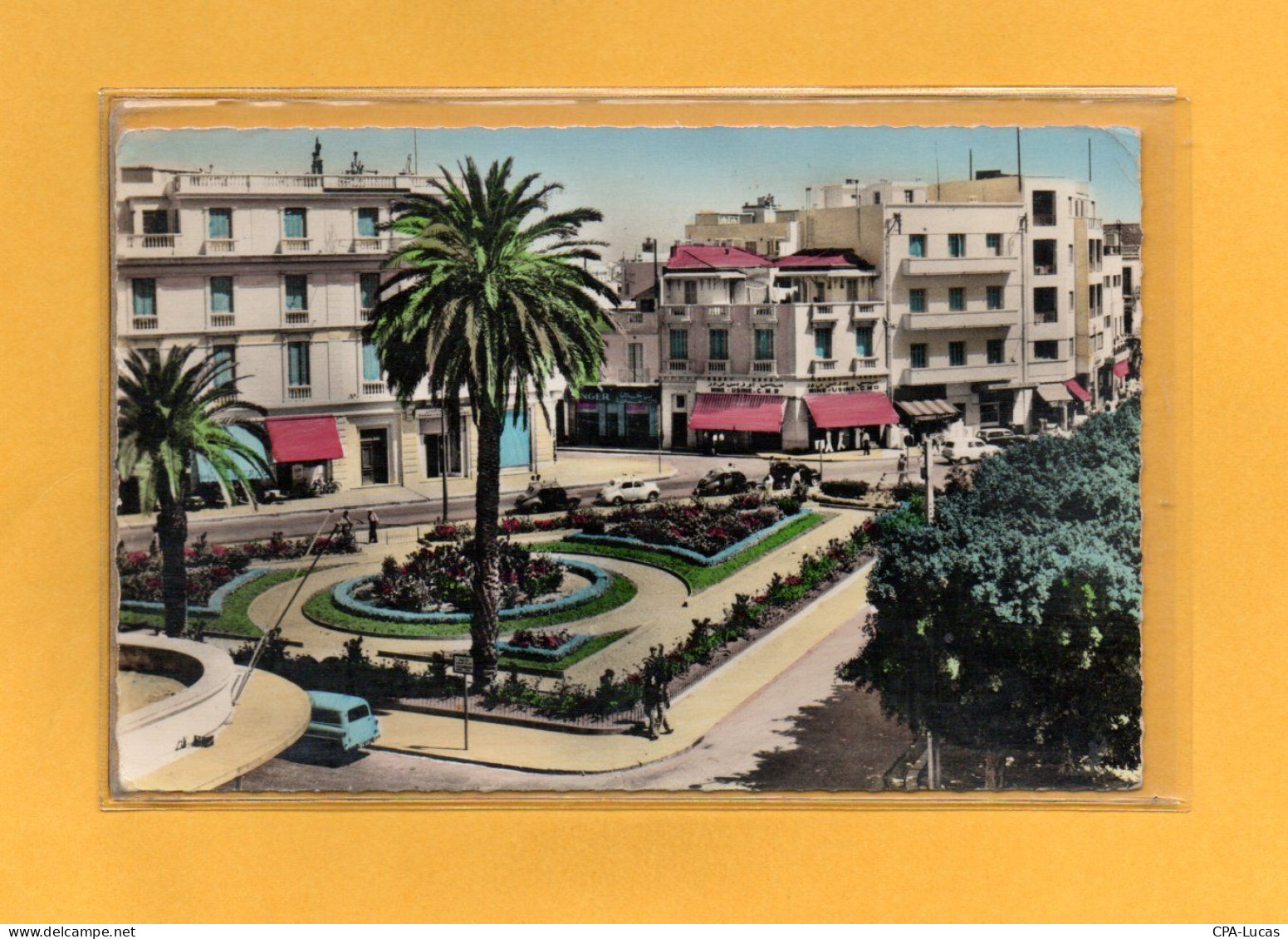 (25/04/24) TUNISIE-CPSM BIZERTE - Tunisia