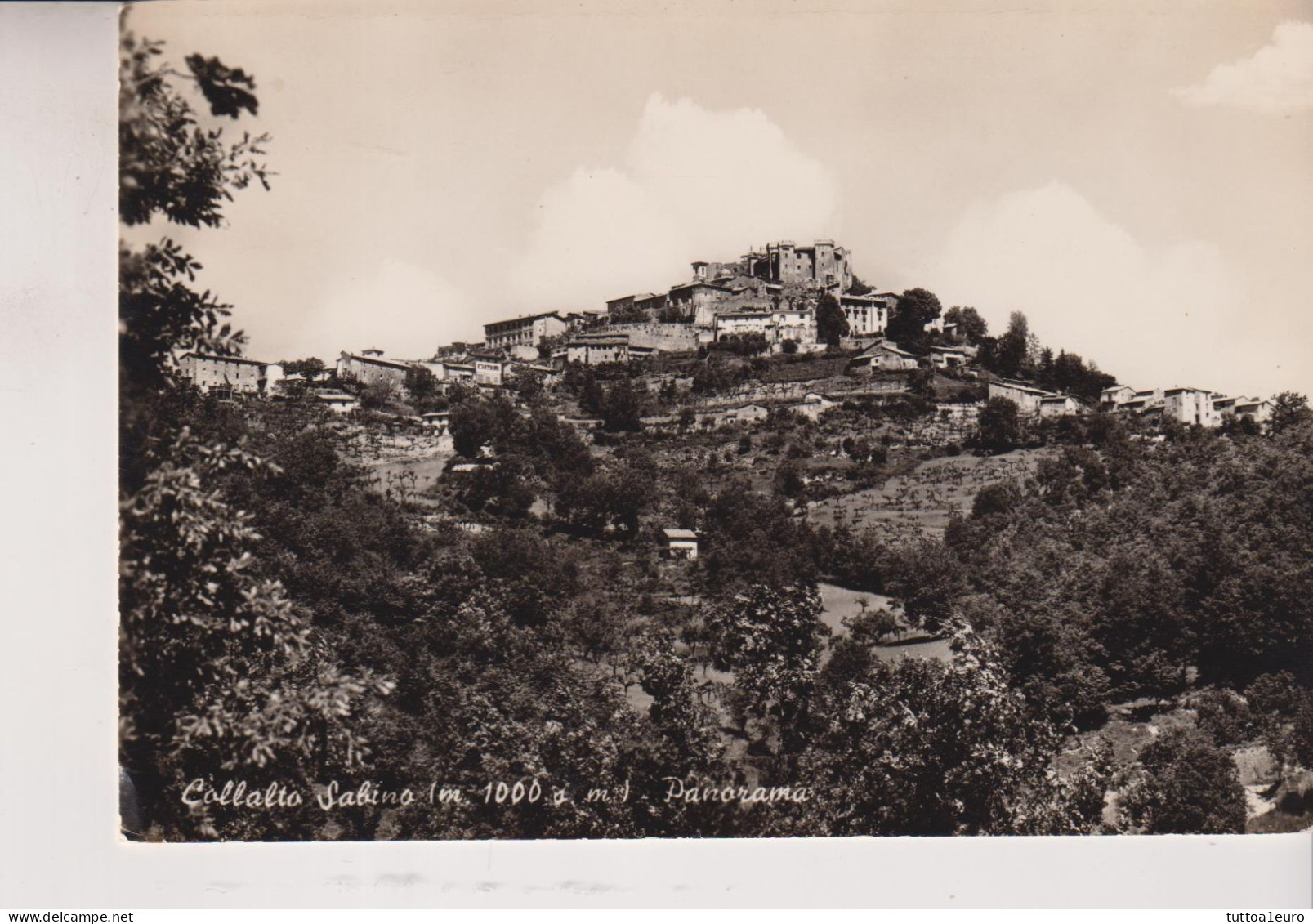 COLLALTO SABINO  RIETI PANORAMA  VG - Rieti