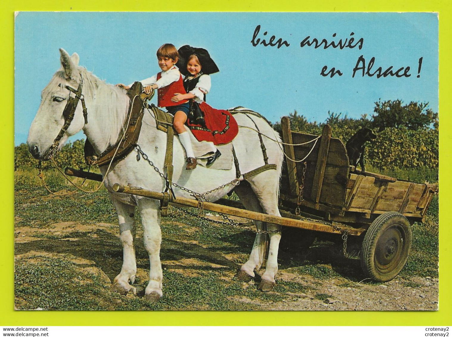 Bien Arrivés En ALSACE Enfants En Costume Sur Cheval Tirant Une Remorque Transportant Un Chien En 1974 - Alsace