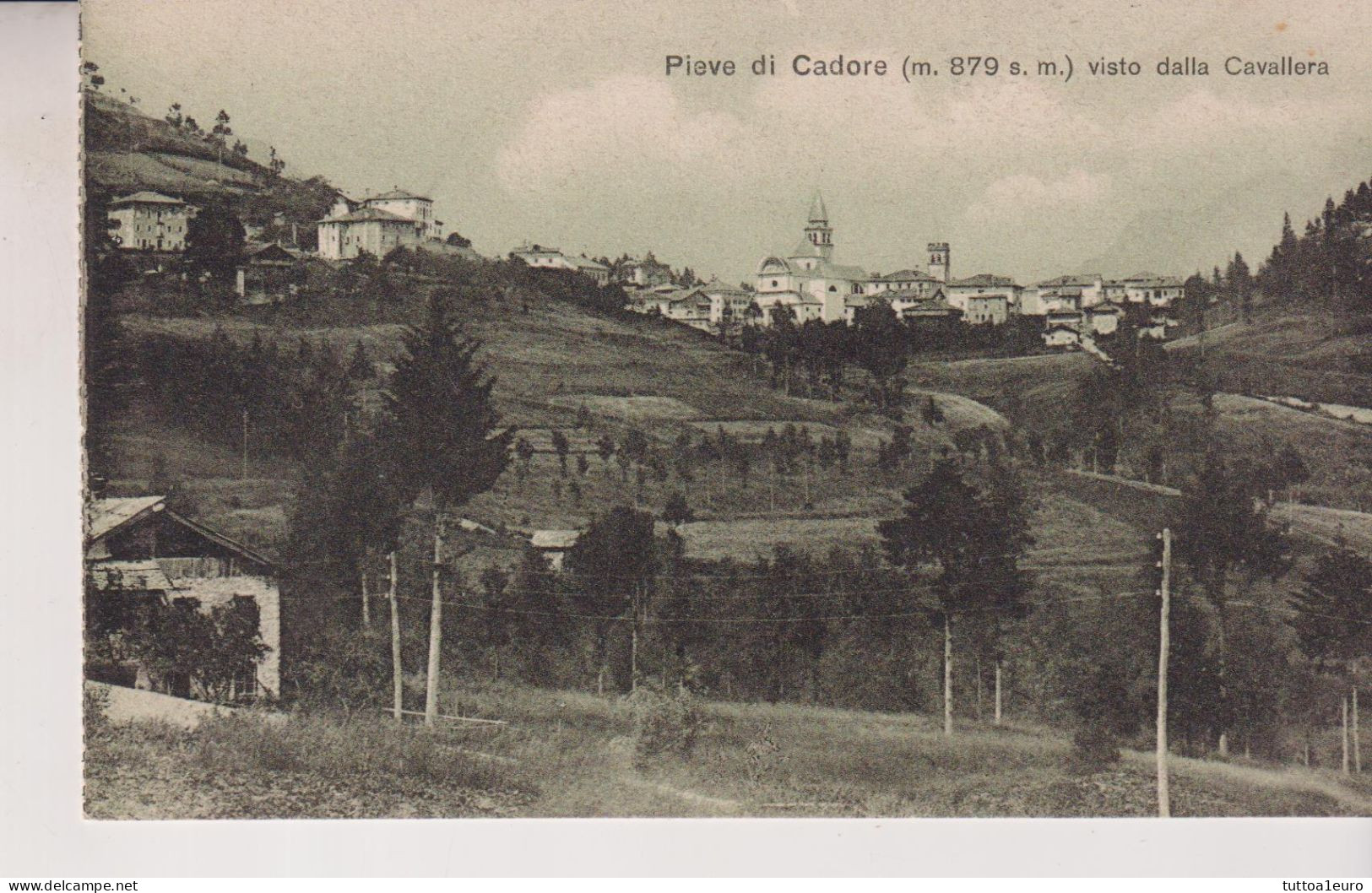 PIEVE DI CADORE BELLUNO  VISTA DALLA CAVALLERA  NO VG - Belluno