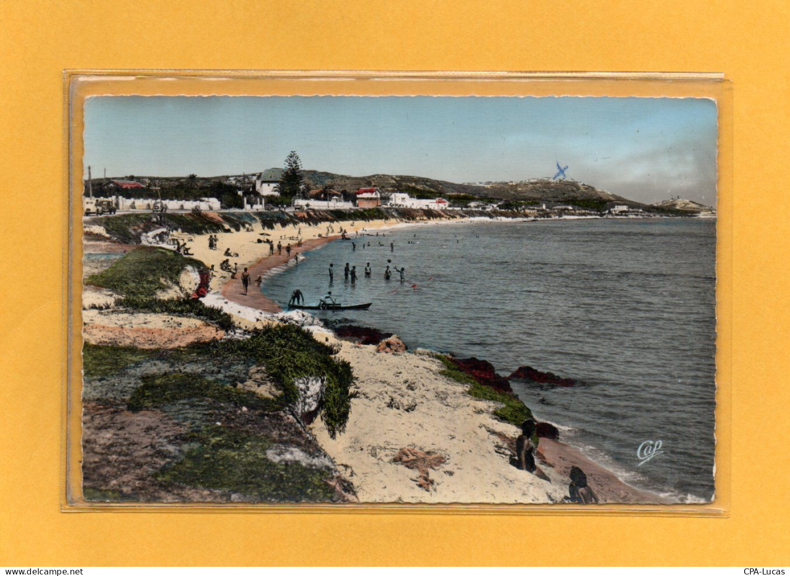 (25/04/24) TUNISIE-CPSM BIZERTE - Túnez