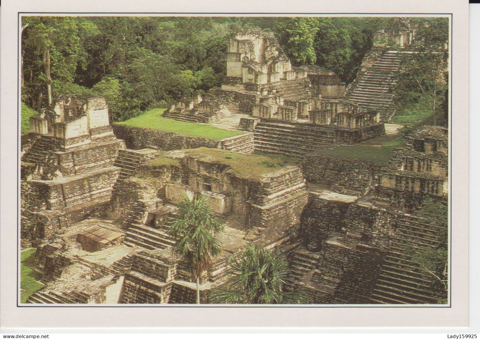 Tikal  L'Ancienne Métropole Maya, La Antigua Metropolis Maya  Guatemala  Ruines D'une City Ruins Of A City CM 2 Scans - Guatemala