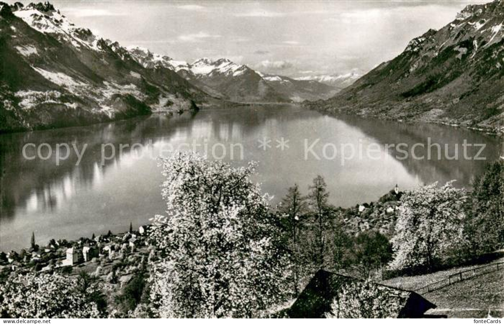 13758010 Brienz Brienzersee Panorama Brienz Brienzersee - Autres & Non Classés