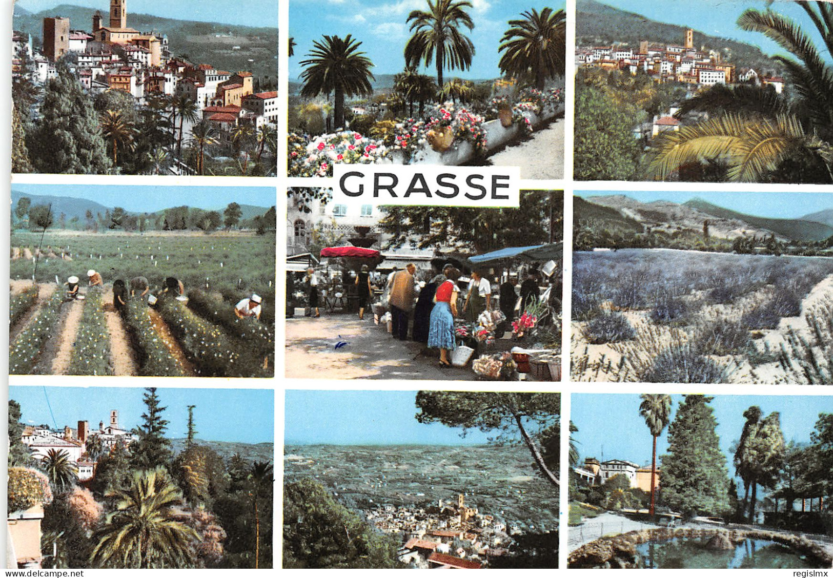 06-GRASSE-N°3034-B/0049 - Grasse