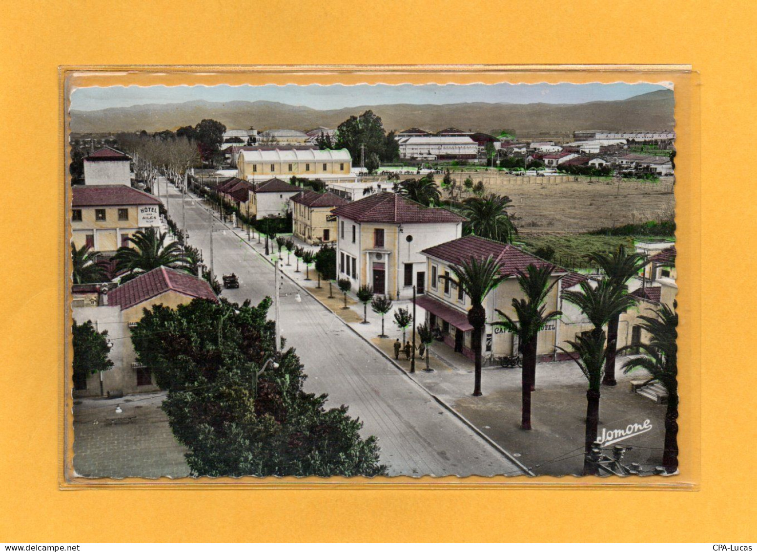 (25/04/24) ALGERIE-CPSM ALGER - MAISON BLANCHE - Algiers