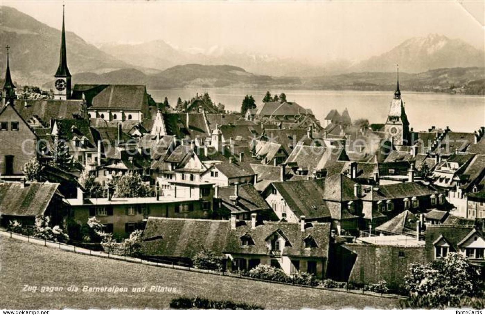 13756668 Zug Zugersee Panorama Mit Berneralpen Und Pilatus  - Autres & Non Classés