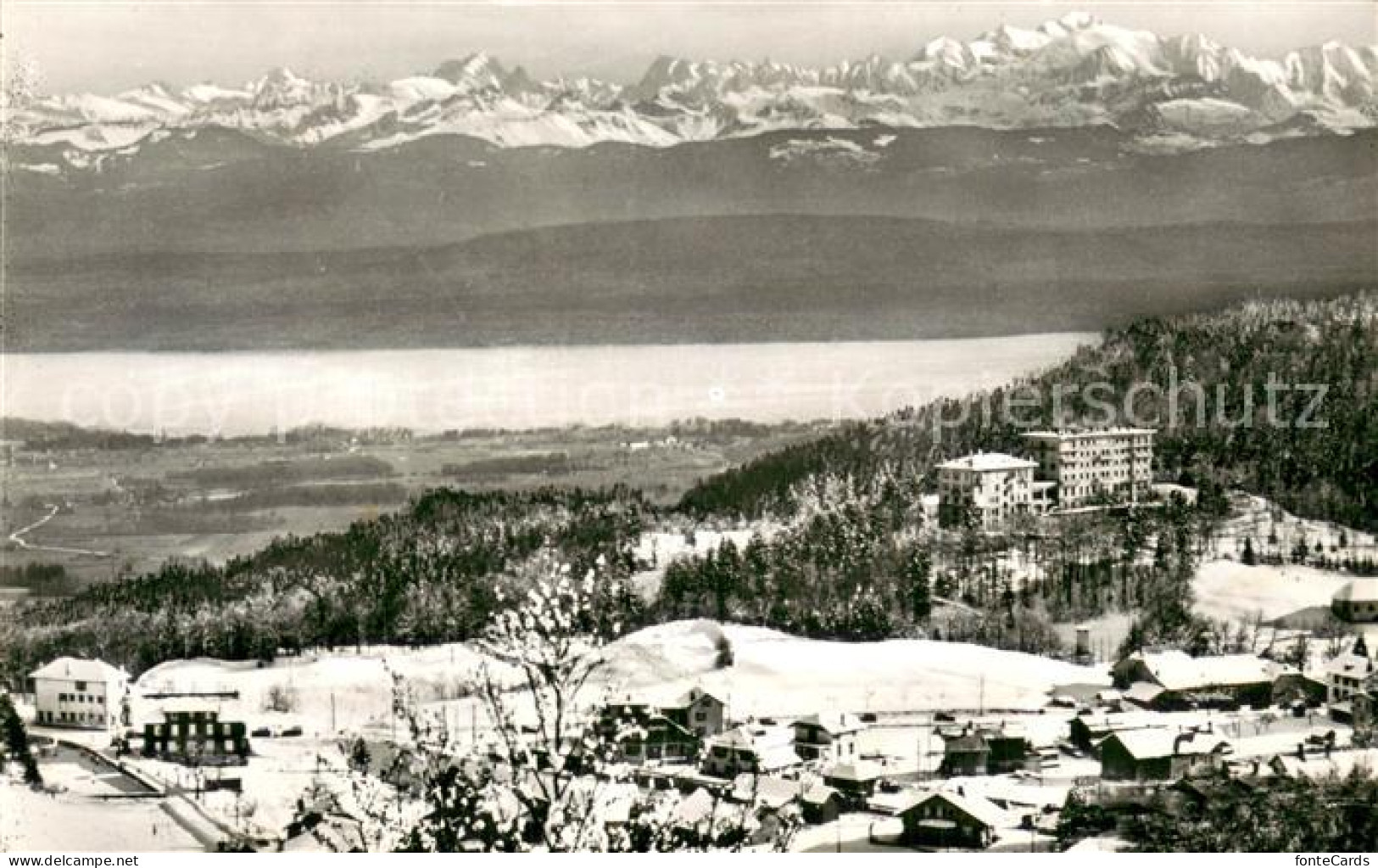 13755988 St-Cergue Nyon Suisse Et Les Alpes  - Autres & Non Classés