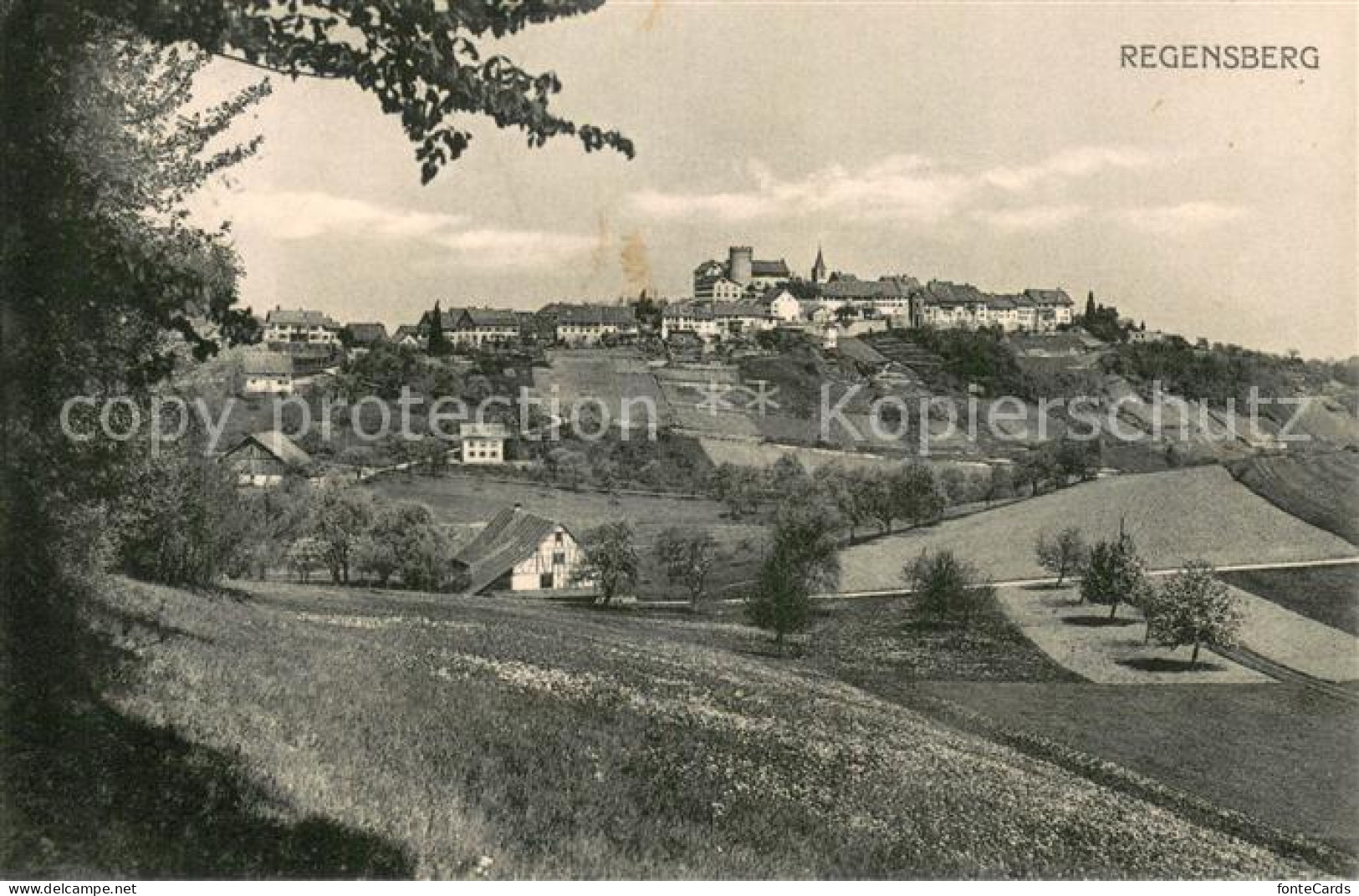 13755884 Regensberg Dielsdorf ZH Panorama Schloss  - Altri & Non Classificati