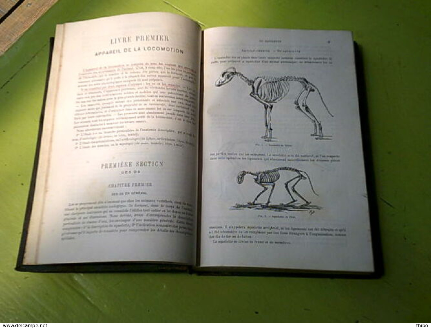 Traité D'anatomie Comparée Des Animaux Domestiques - Complet En Deux Volumes - Autres & Non Classés