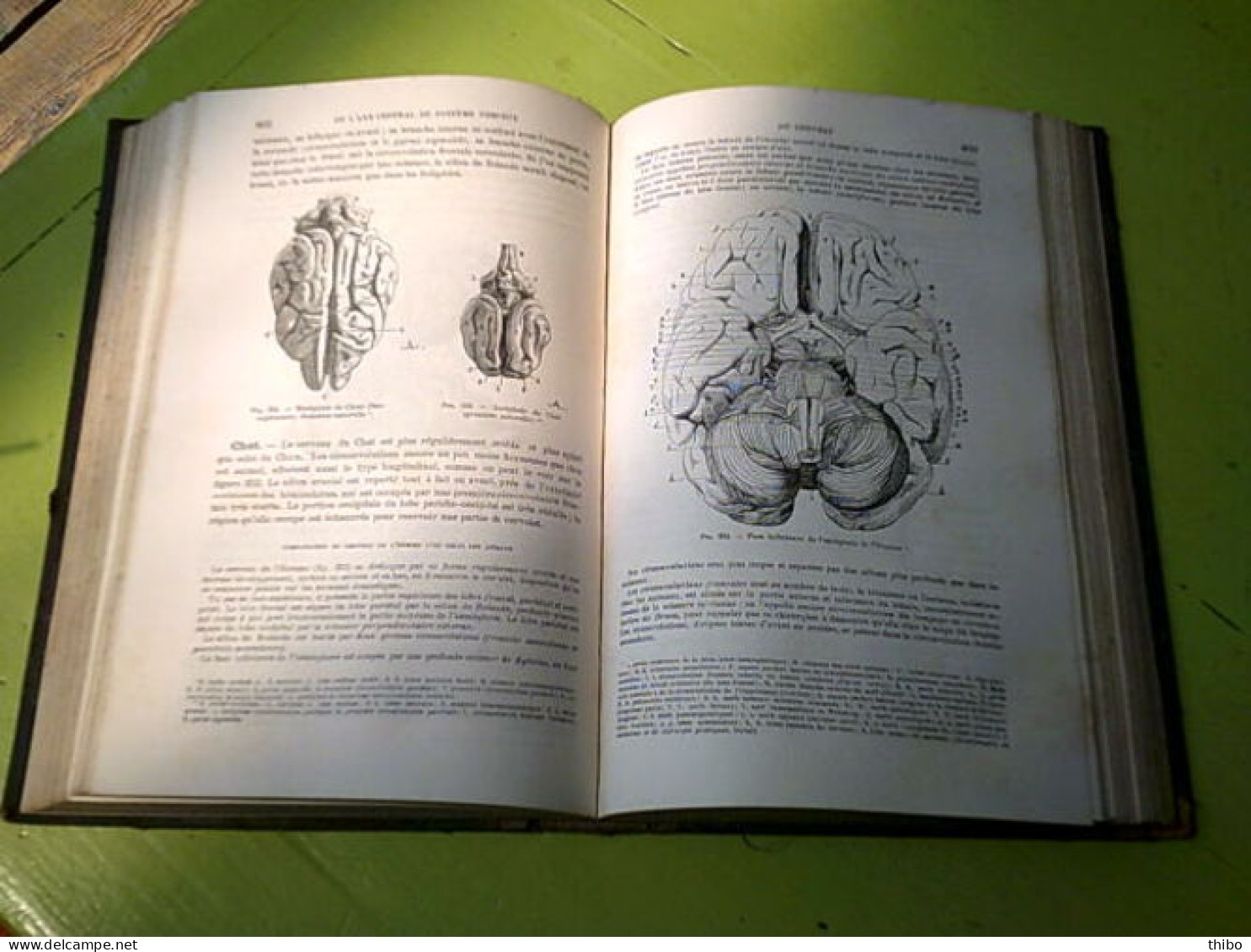 Traité D'anatomie Comparée Des Animaux Domestiques - Complet En Deux Volumes - Autres & Non Classés