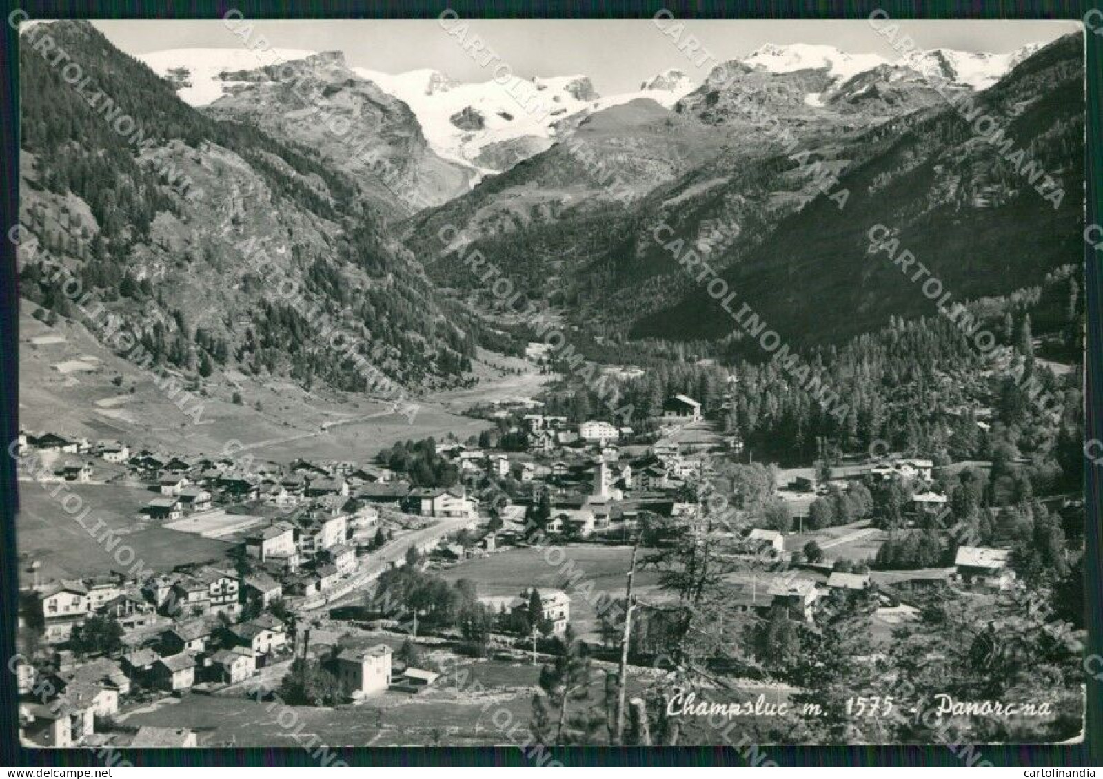 Aosta Ayas Champoluc PIEGHINE Foto FG Cartolina KB1499 - Aosta