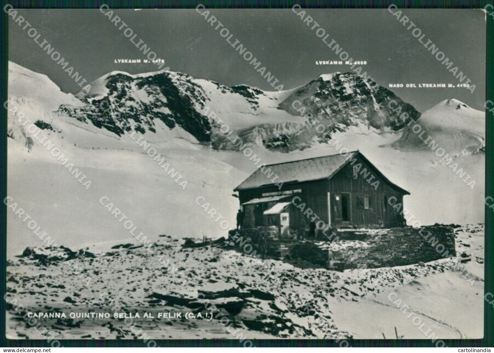 Aosta Gressoney Capanna Quintino Sella Felik Nevicata Foto FG Cartolina KB1505 - Aosta