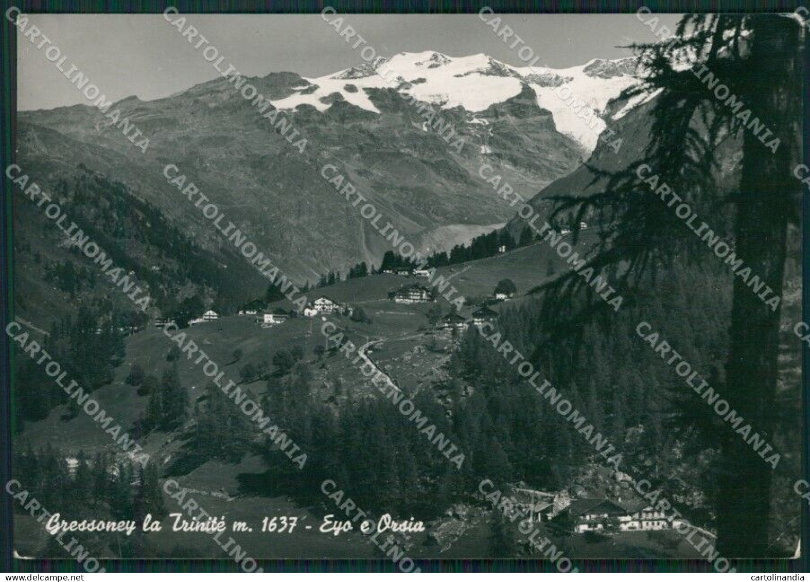 Aosta Gressoney La Trinitè Eyo Orsia PIEGHINA Foto FG Cartolina KB1584 - Aosta