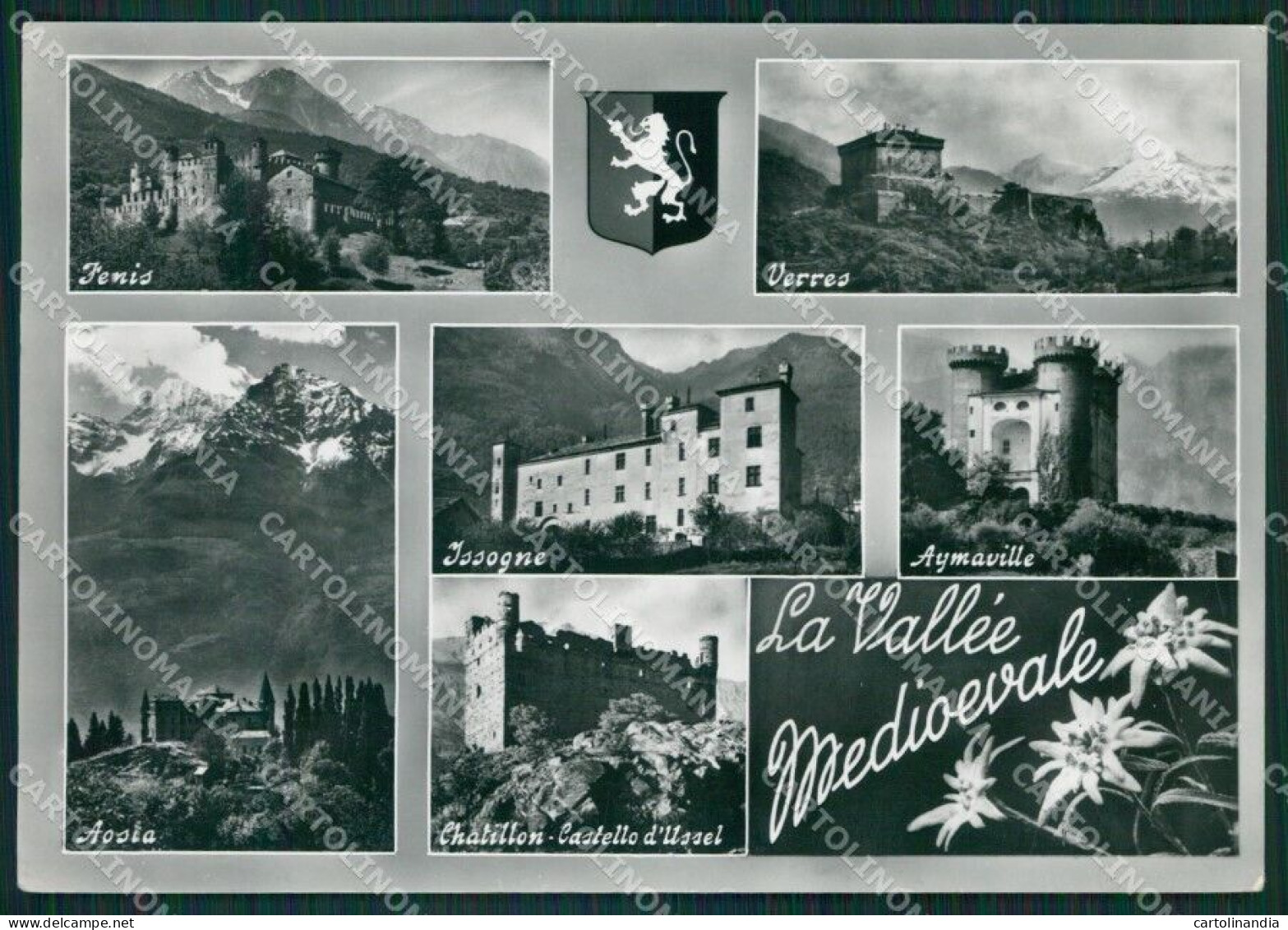 Aosta Vallée Medioevale Stelle Alpine Foto FG Cartolina KB1583 - Aosta