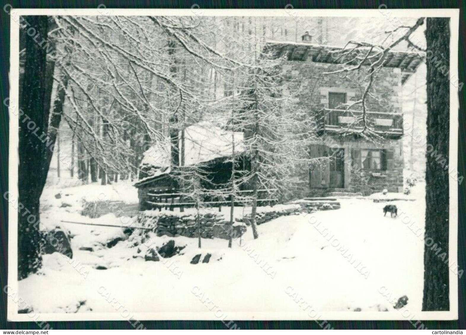 Aosta Champoluc Casa Bossi Foto FG Cartolina KB1559 - Aosta