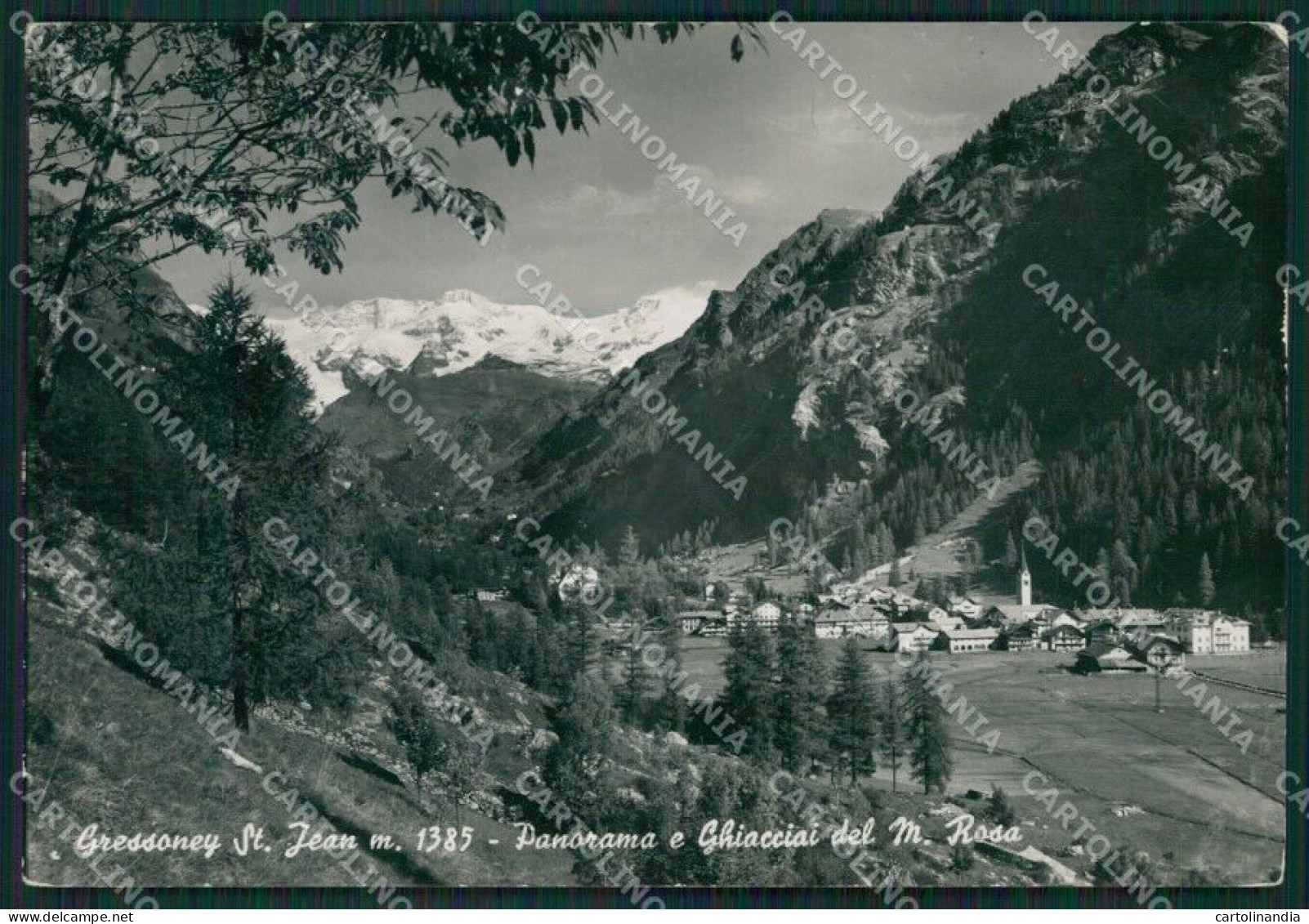 Aosta Gressoney Saint Jean Foto FG Cartolina KB1603 - Aosta