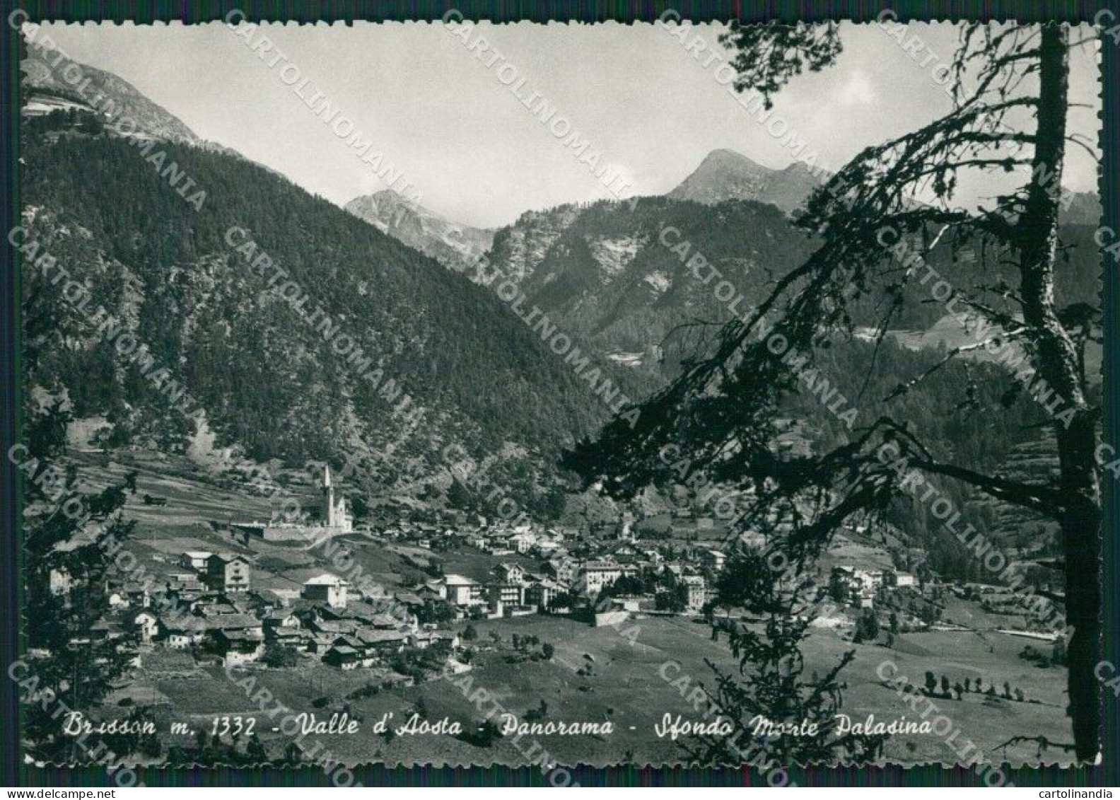 Aosta Brusson Monte Palasina Foto FG Cartolina KB1597 - Aosta