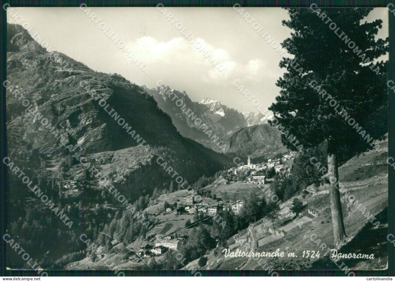 Aosta Valtournanche Foto FG Cartolina KB1600 - Aosta