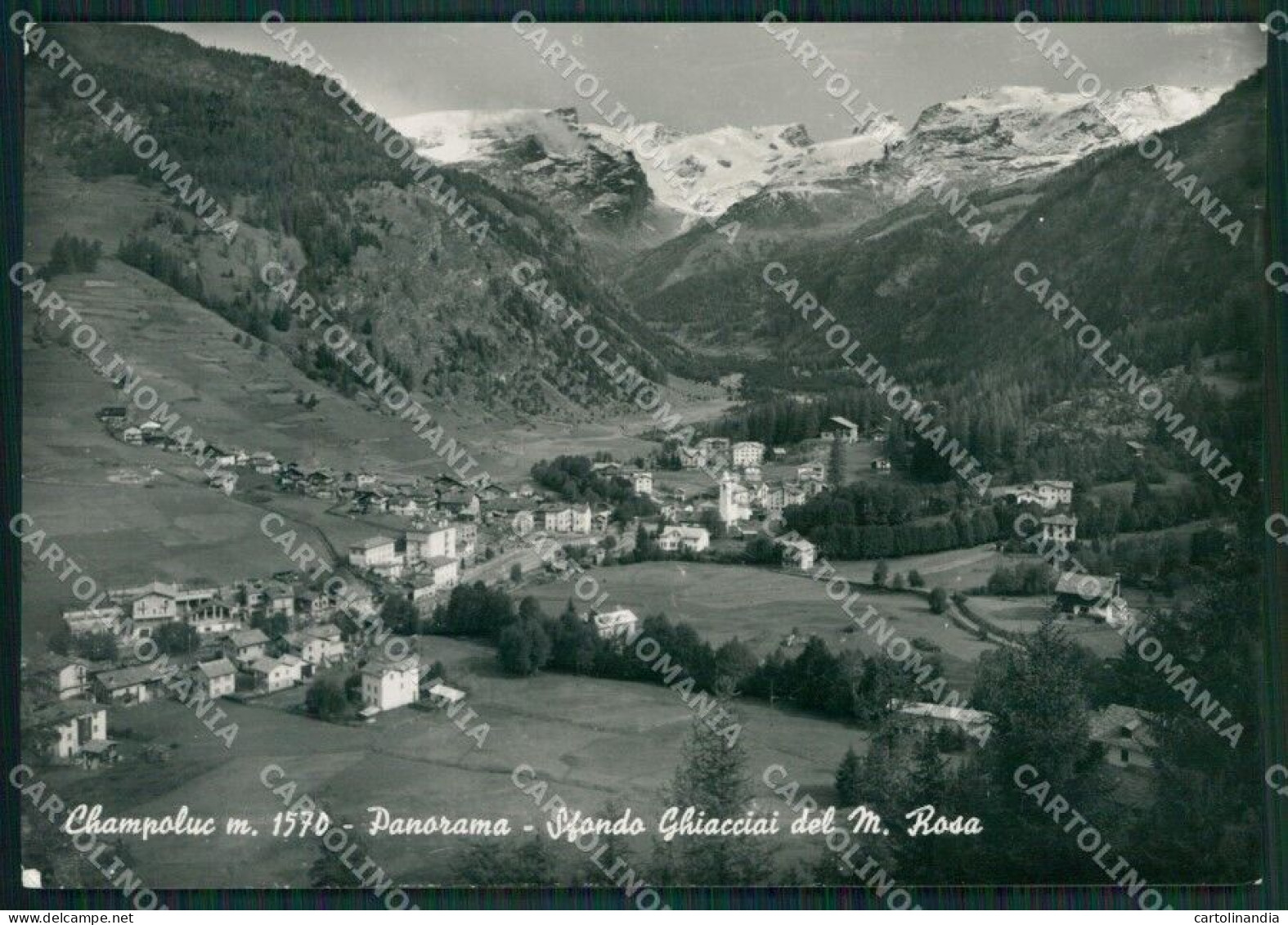 Aosta Ayas Champoluc Ghiacciai Del Rosa Foto FG Cartolina KB1593 - Aosta