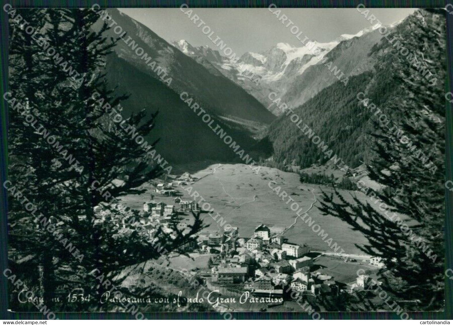 Aosta Cogne Gran Paradiso Foto FG Cartolina KB1573 - Aosta