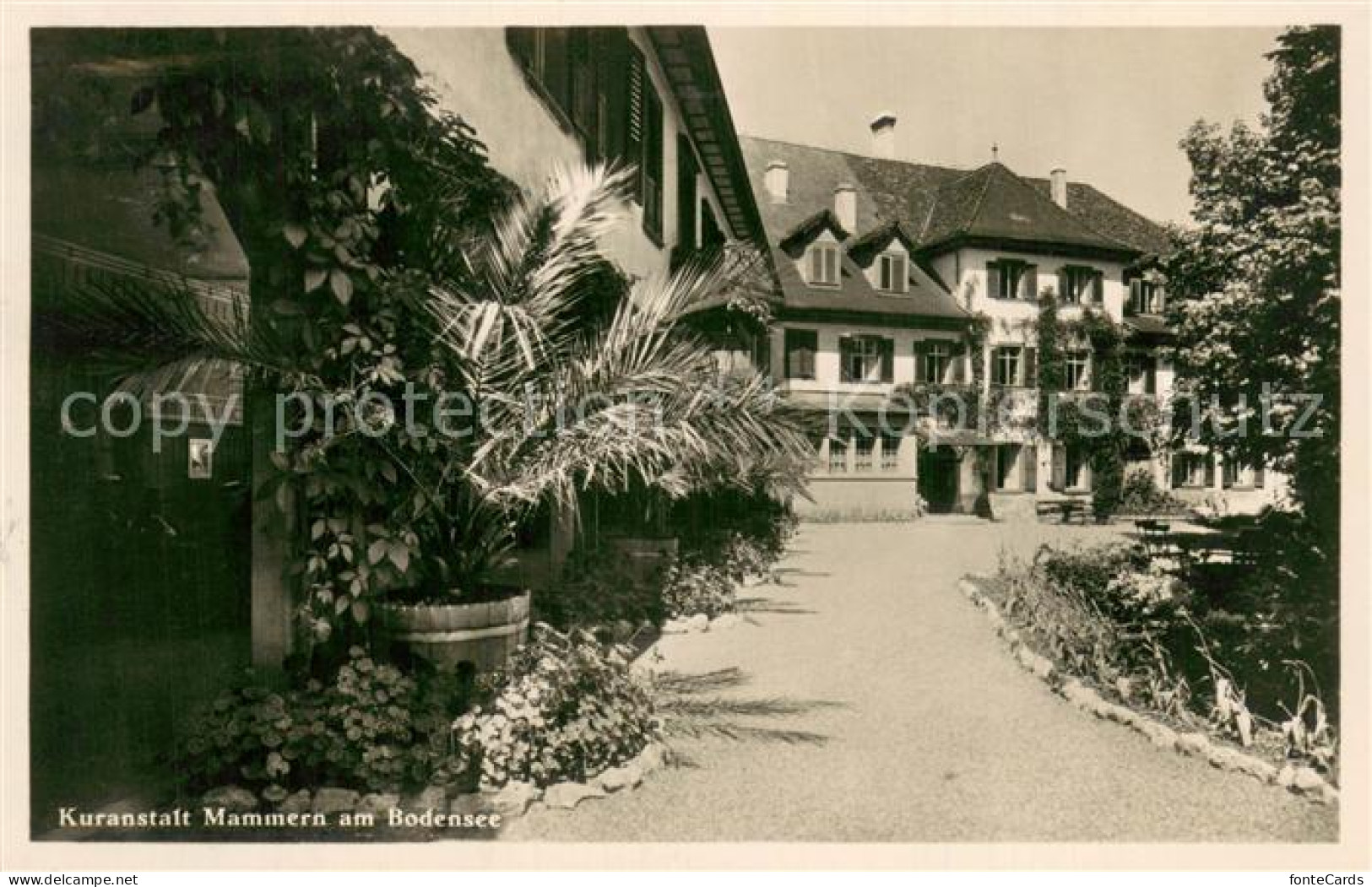 13750488 Mammern Kuranstalt Am Bodensee Mammern - Sonstige & Ohne Zuordnung