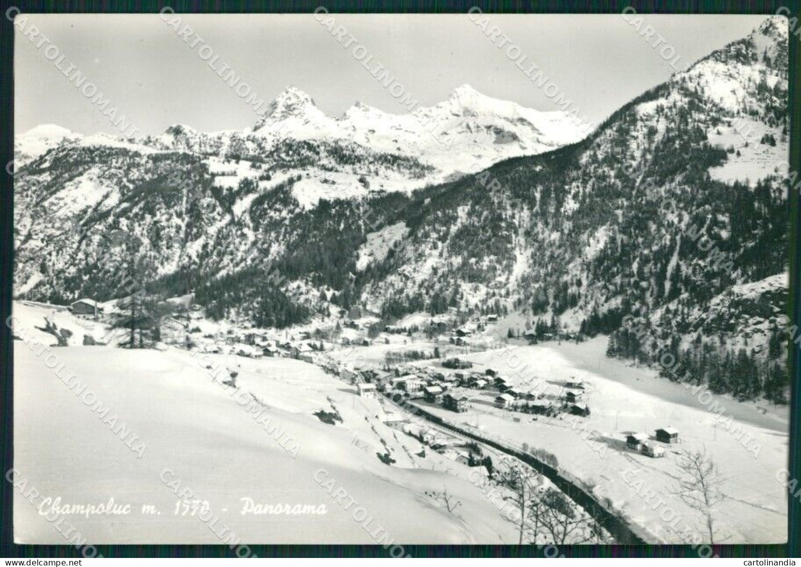 Aosta Ayas Champoluc Nevicata Foto FG Cartolina KB1567 - Aosta