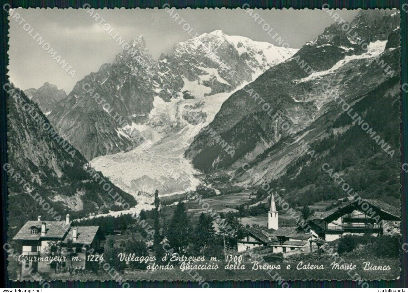 Aosta Courmayeur Entrèves Brenva Catene Monte Bianco Foto FG Cartolina KB1620 - Aosta