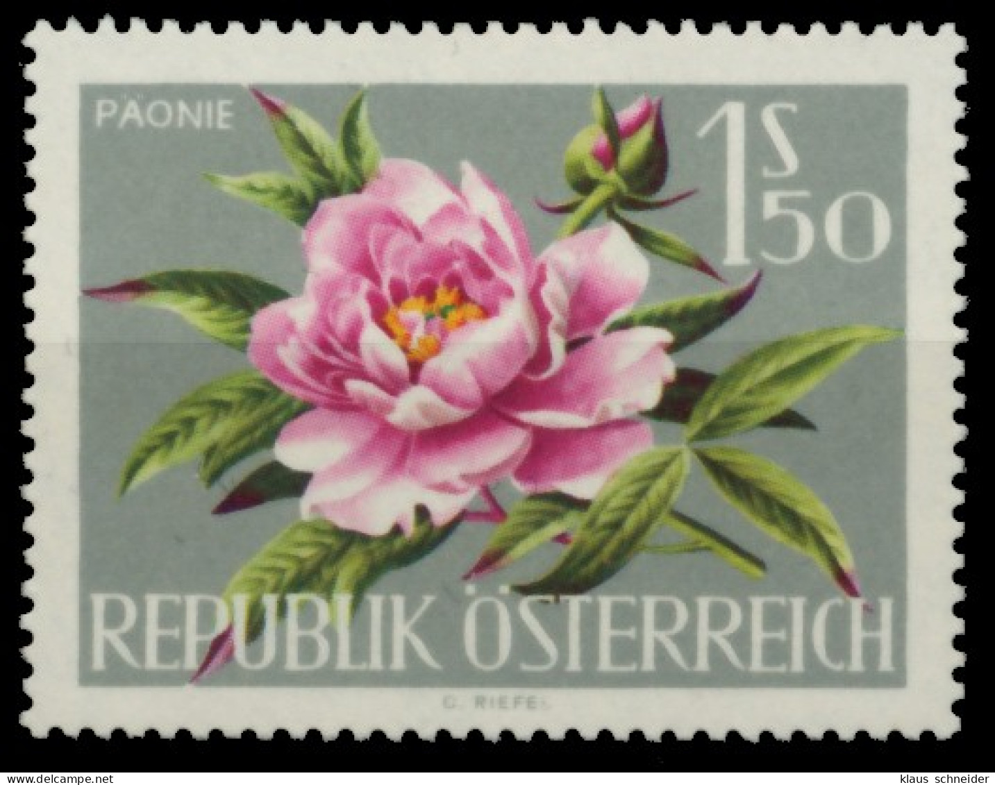 ÖSTERREICH 1964 Nr 1146 Postfrisch SBCC45A - Neufs