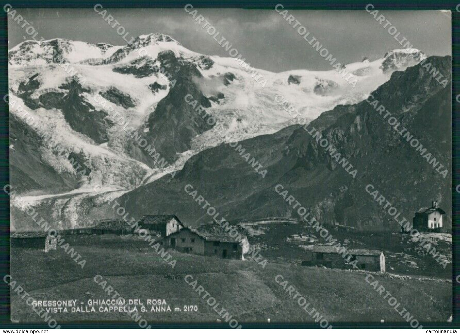 Aosta Gressoney Ghiacciai Del Rosa PIEGHINA Foto FG Cartolina KB1462 - Aosta