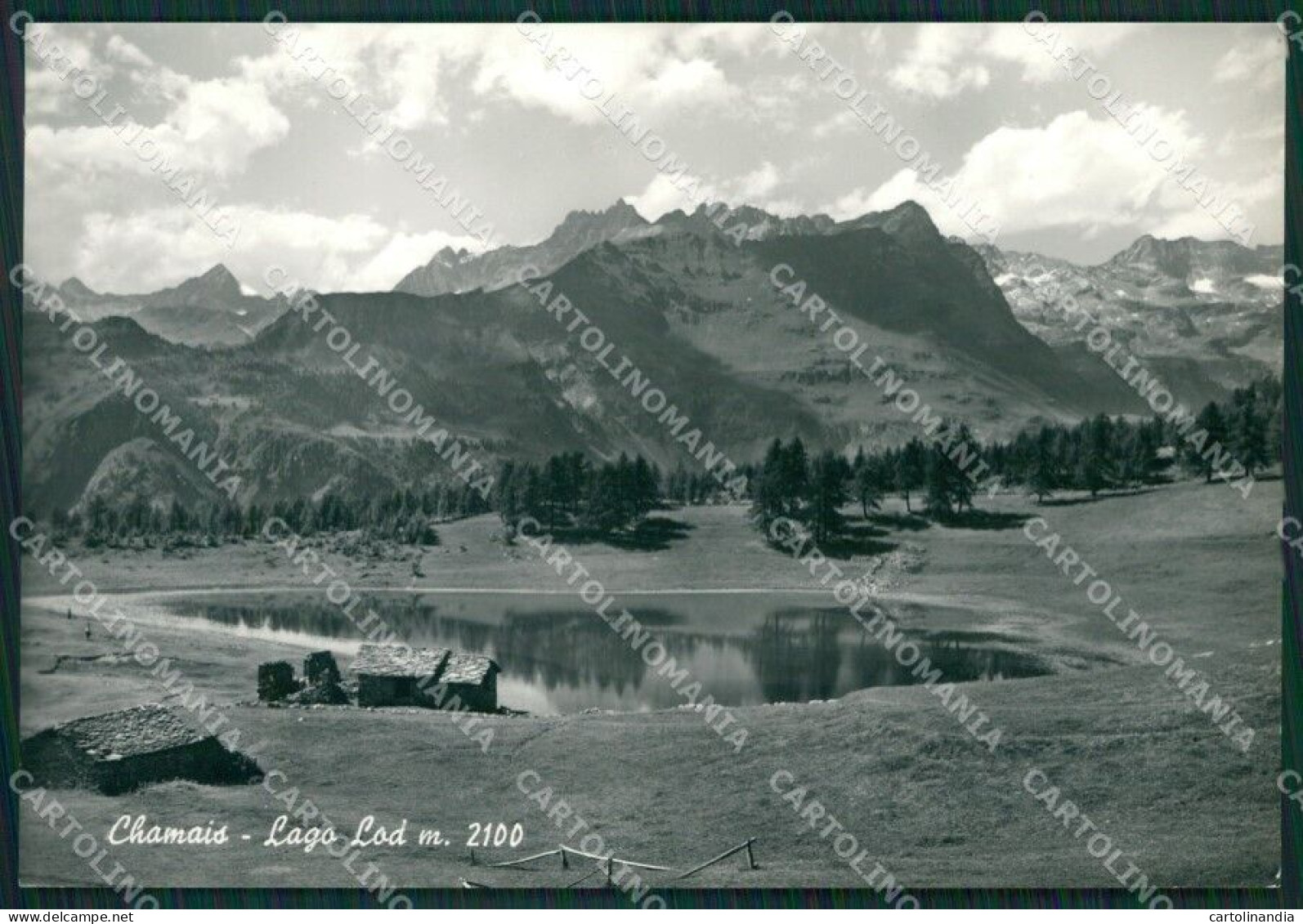 Aosta Chamois Lago Lod Foto FG Cartolina KB1538 - Aosta