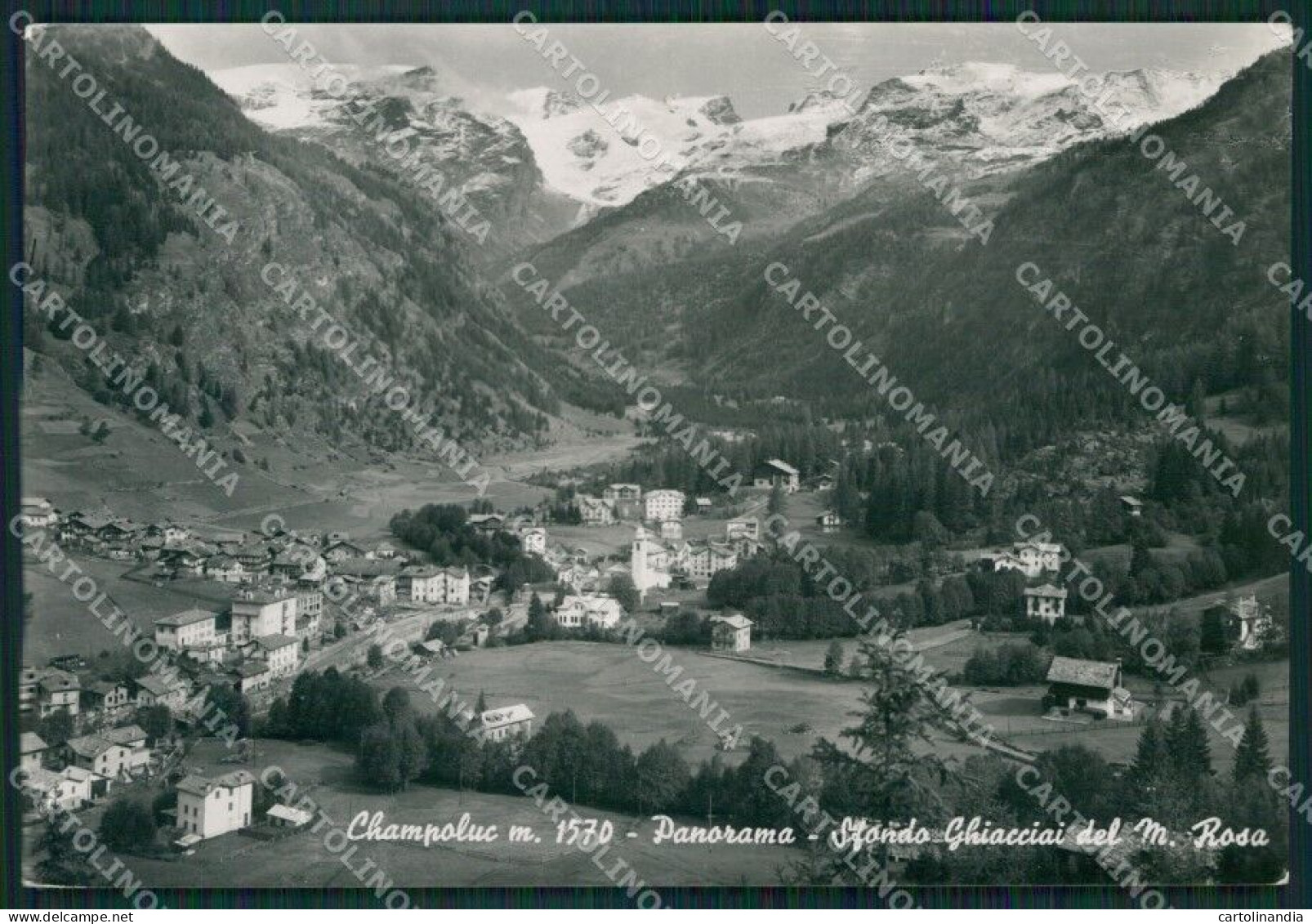 Aosta Ayas Champoluc Monte Rosa Foto FG Cartolina KB1521 - Aosta