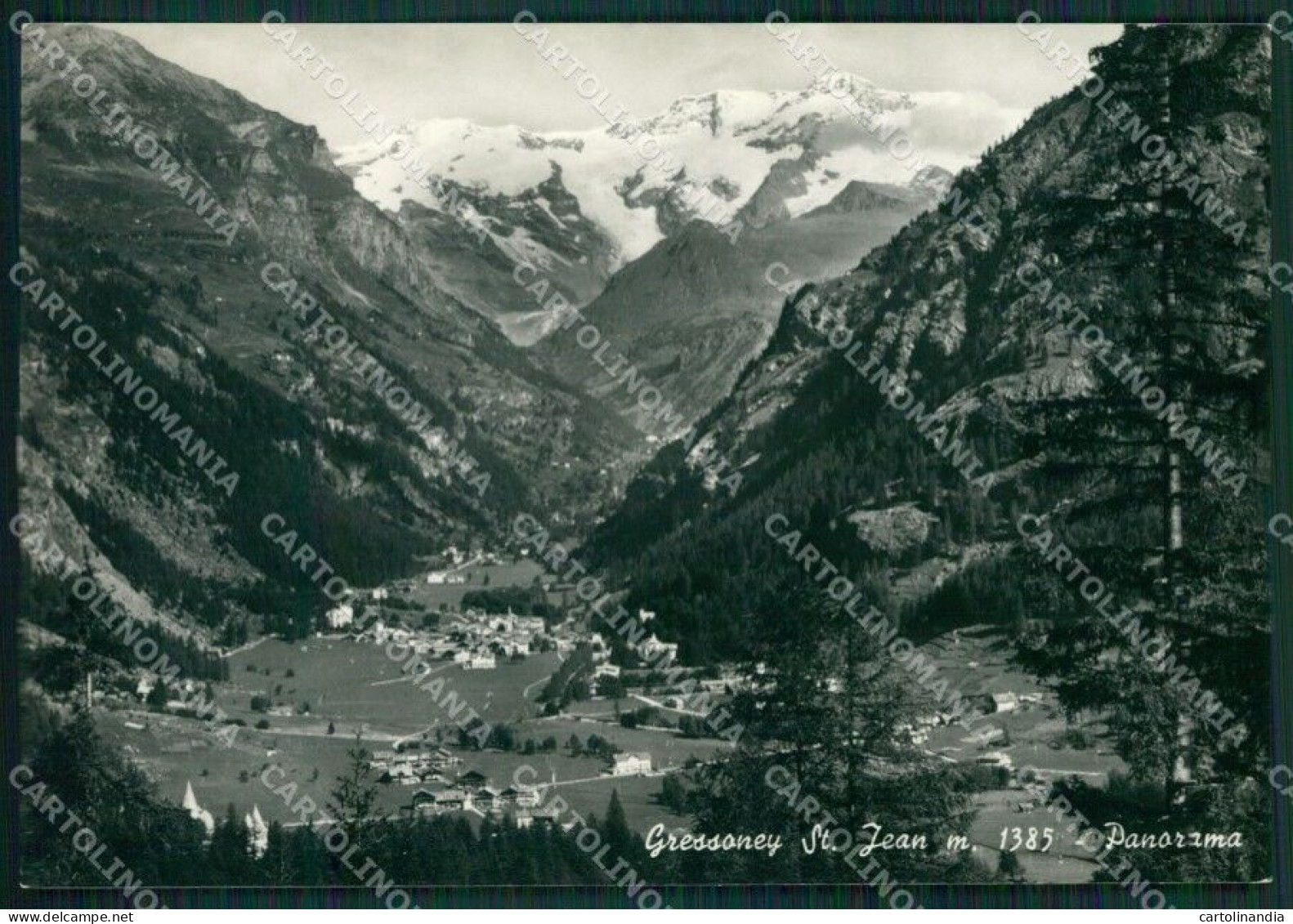 Aosta Gressoney Saint Jean Foto FG Cartolina KB1531 - Aosta