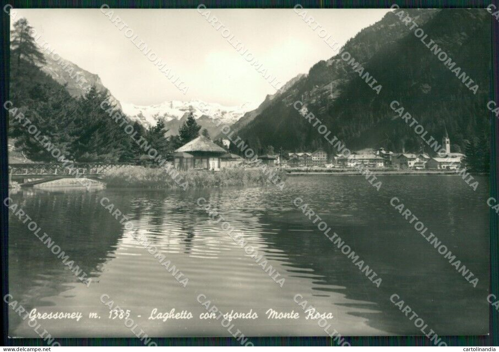 Aosta Gressoney Laghetto Monte Rosa Foto FG Cartolina KB1658 - Aosta