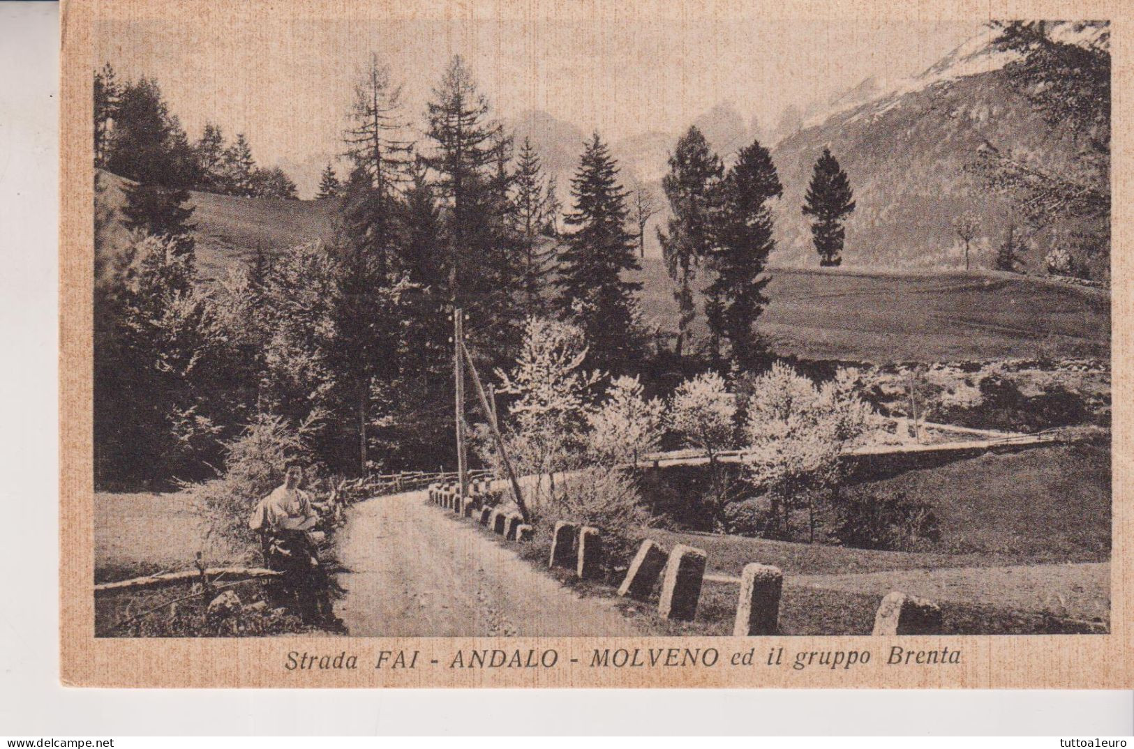 FAI  ANDALO MOLVENO  TRENTO  STRADA  ED IL GRUPPO BRENTA  NO VG - Trento