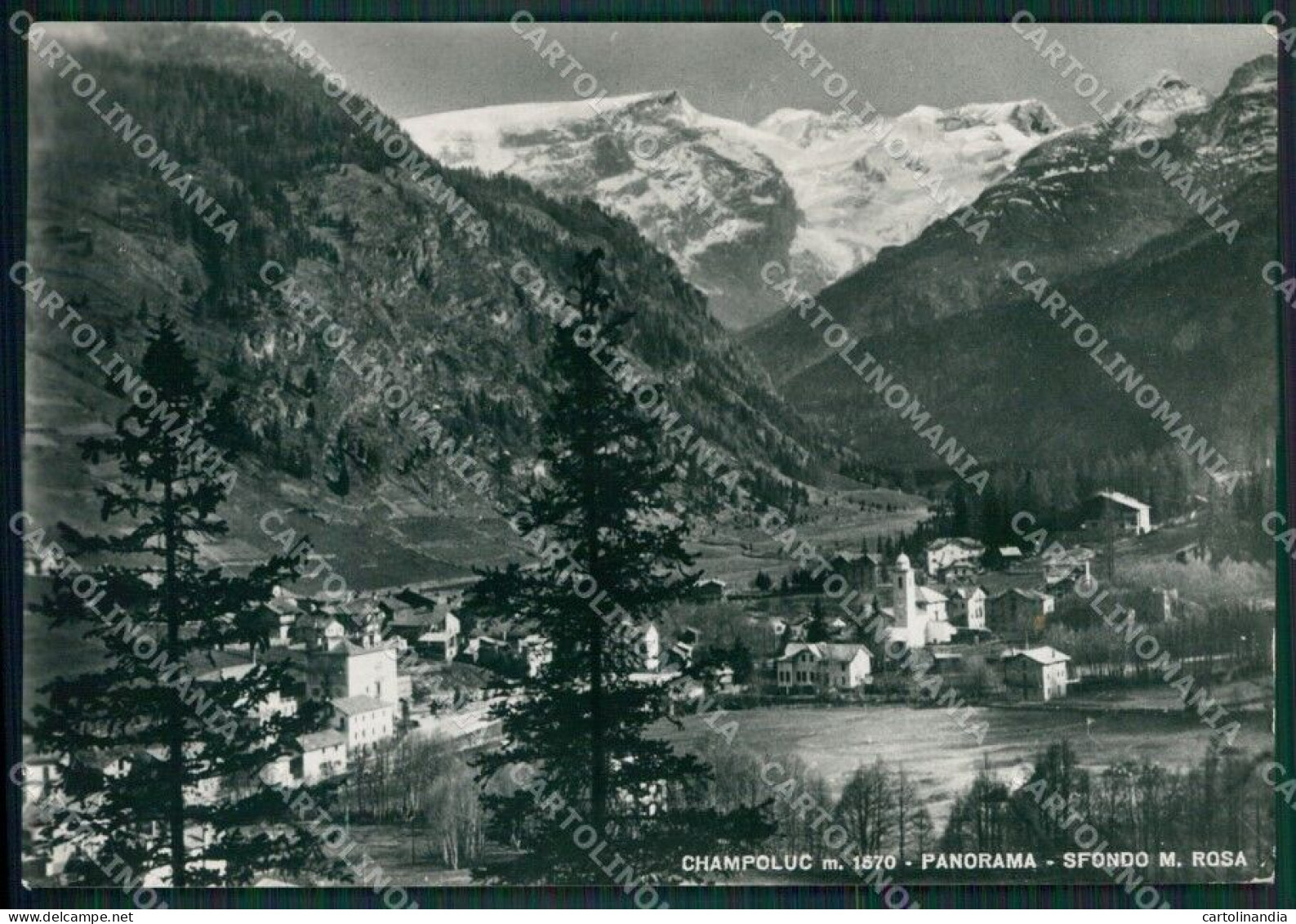 Aosta Ayas Champoluc Monte Rosa PIEGHINA Foto FG Cartolina KB1665 - Aosta