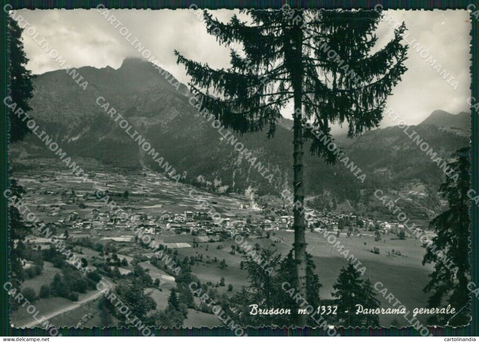 Aosta Brusson PIEGHINA Foto FG Cartolina KB1666 - Aosta