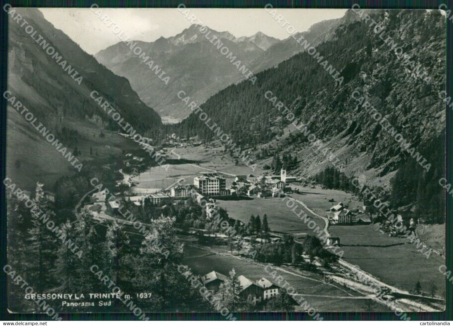 Aosta Gressoney La Trinitè Foto FG Cartolina KB1674 - Aosta