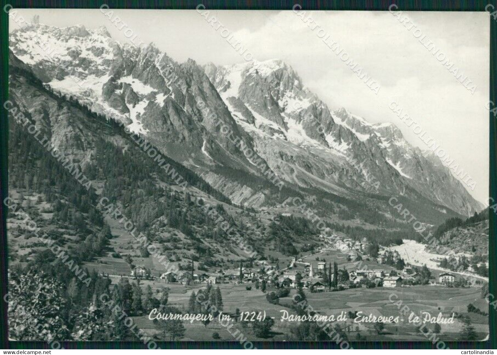 Aosta Courmayeur Entrèves Palud PIEGA Foto FG Cartolina KB1619 - Aosta