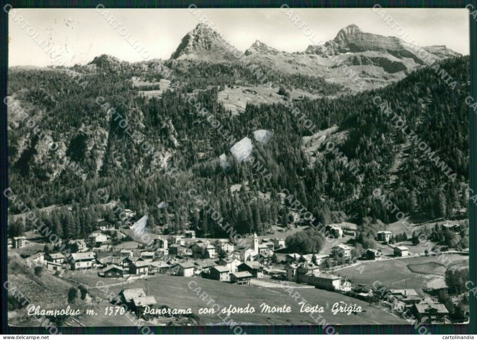 Aosta Ayas Champoluc Monte Testa Grigia Foto FG Cartolina KB1627 - Aosta