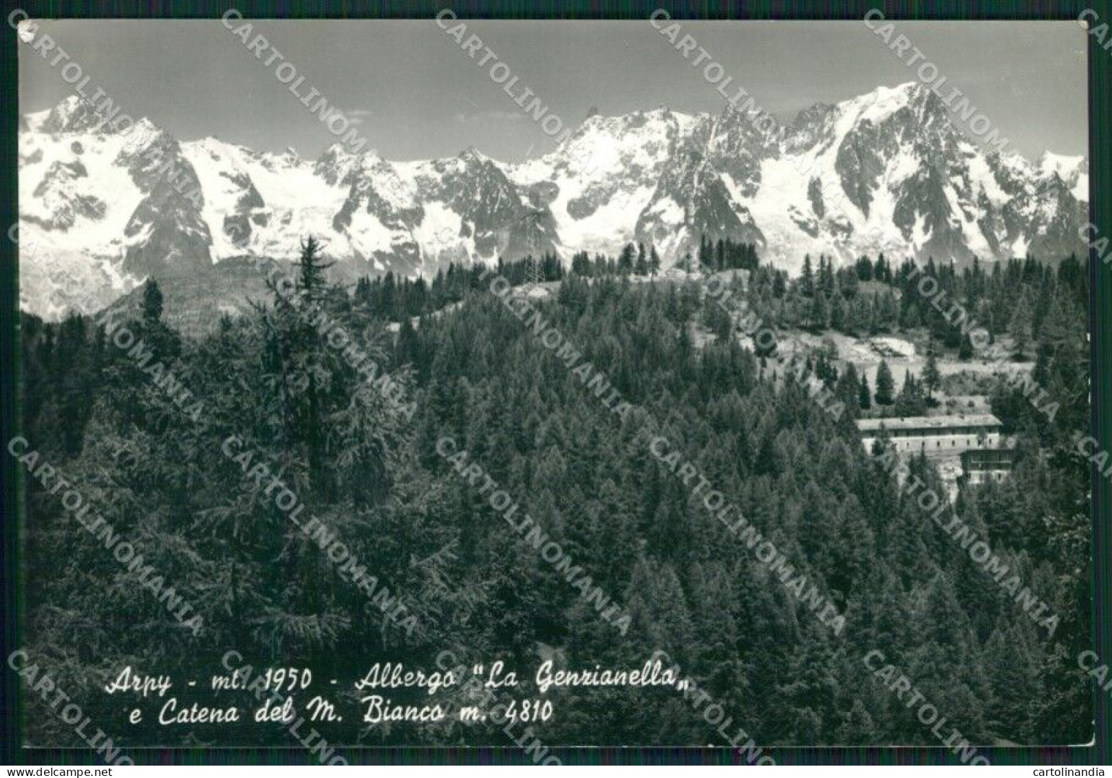 Aosta Morgex Arpy Catena Monte Bianco Foto FG Cartolina KB1697 - Aosta