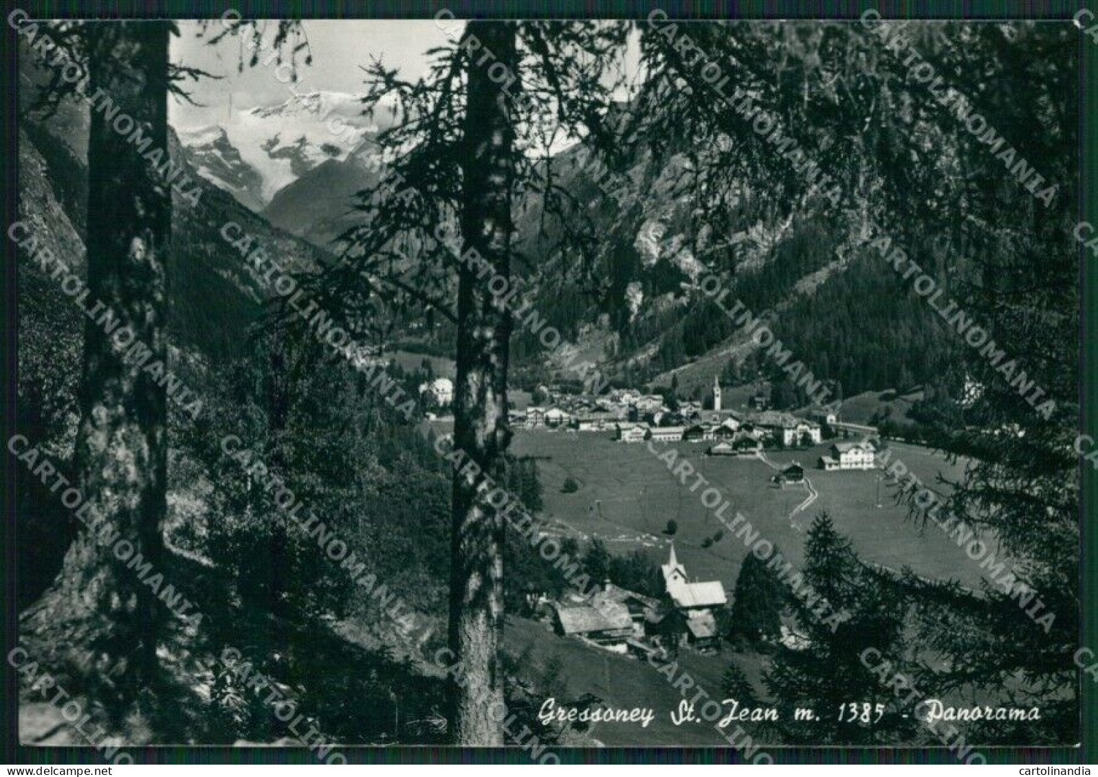 Aosta Gressoney Saint Jean Foto FG Cartolina KB1696 - Aosta