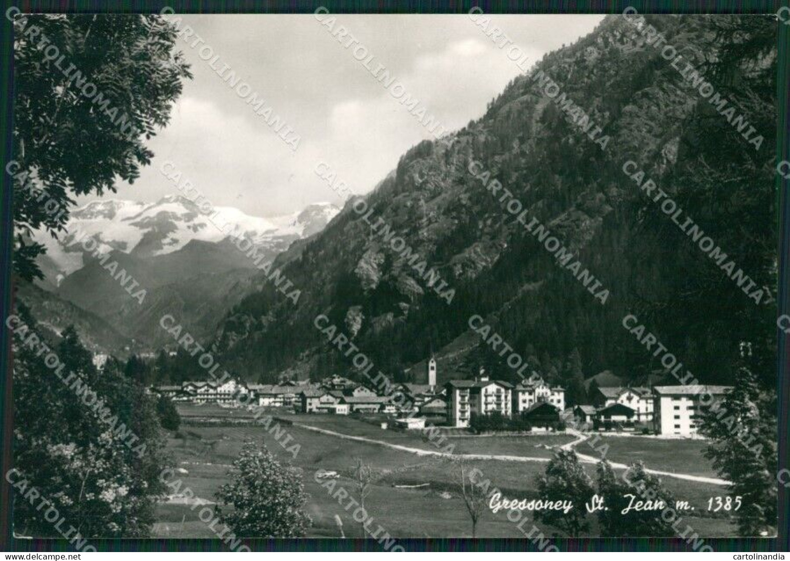 Aosta Gressoney Saint Jean Foto FG Cartolina KB1701 - Aosta