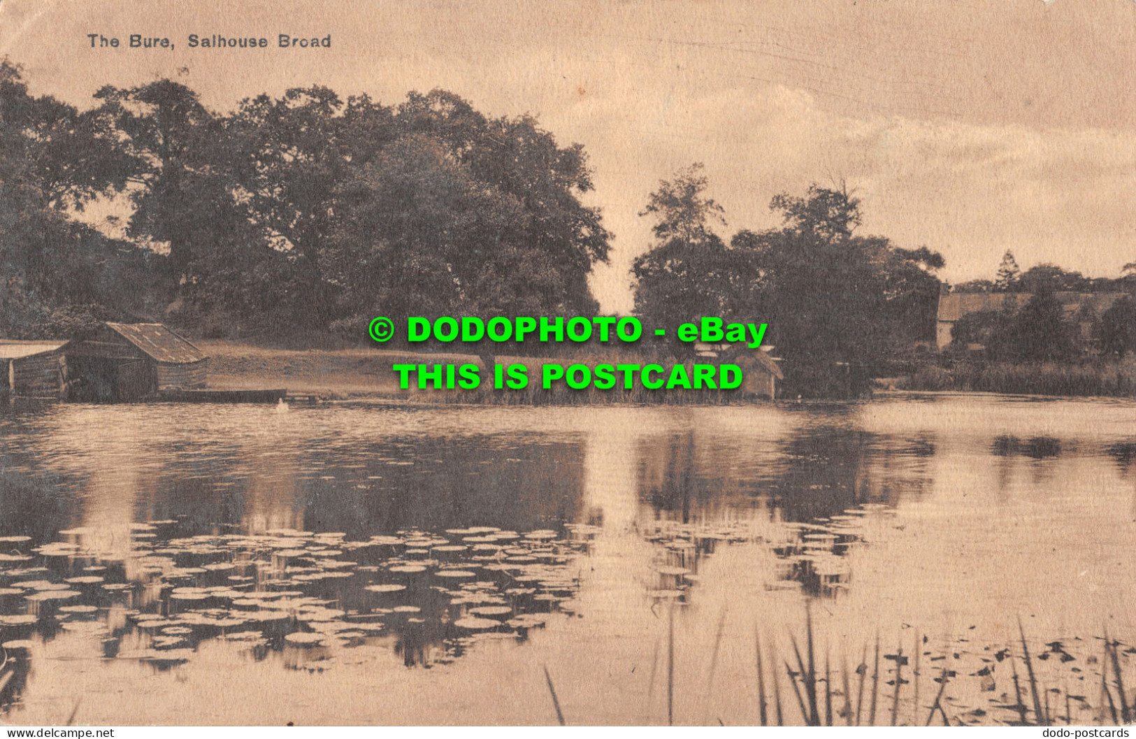 R508701 The Bure. Salhouse Broad. Jarrolds Series. 8239 - Welt