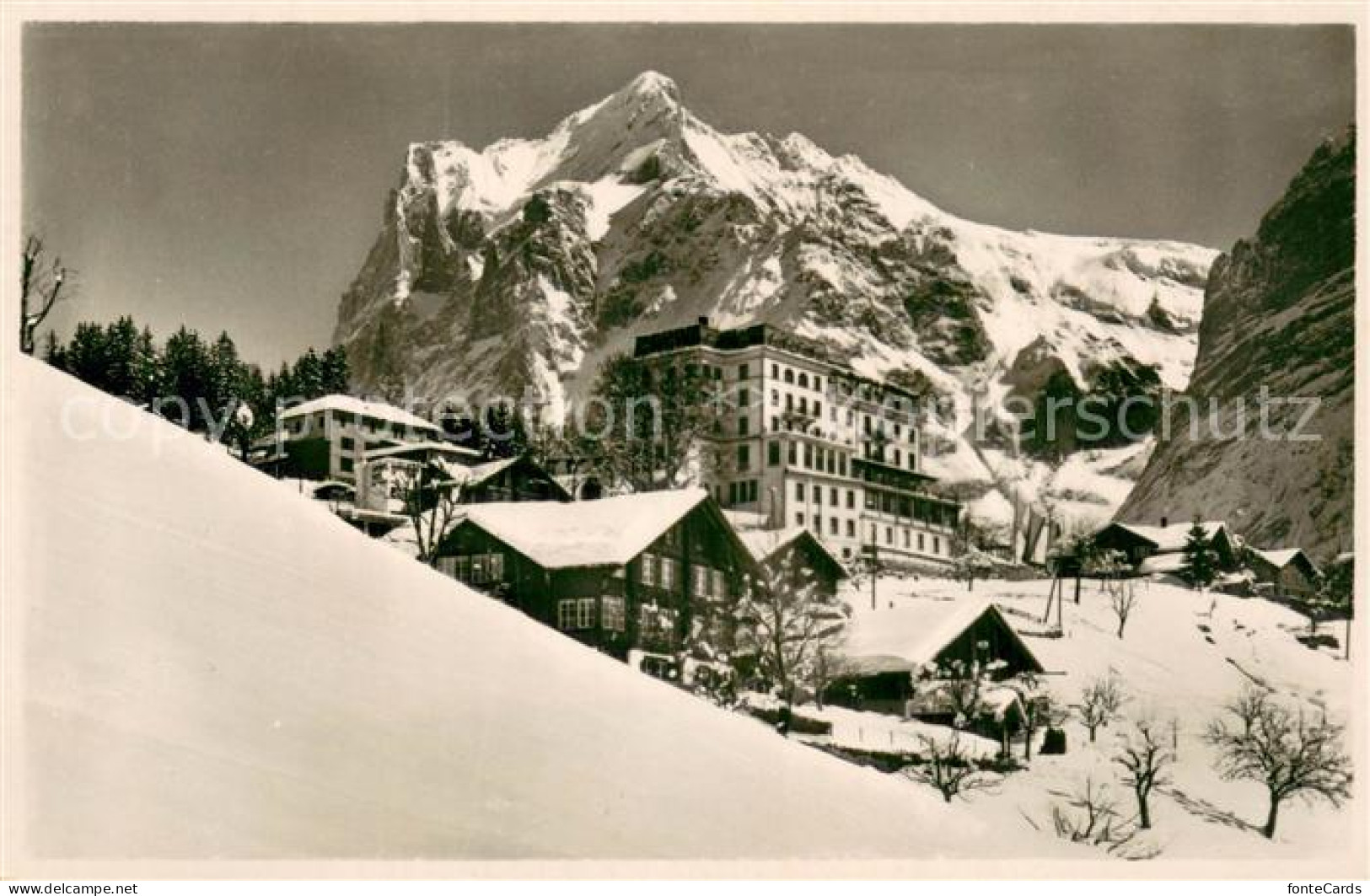 13740188 Grindelwald Hotel Belvedere Grindelwald - Autres & Non Classés